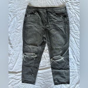American Eagle distressed curvy fit plus size jeans 100% cotton. Size 22 long.